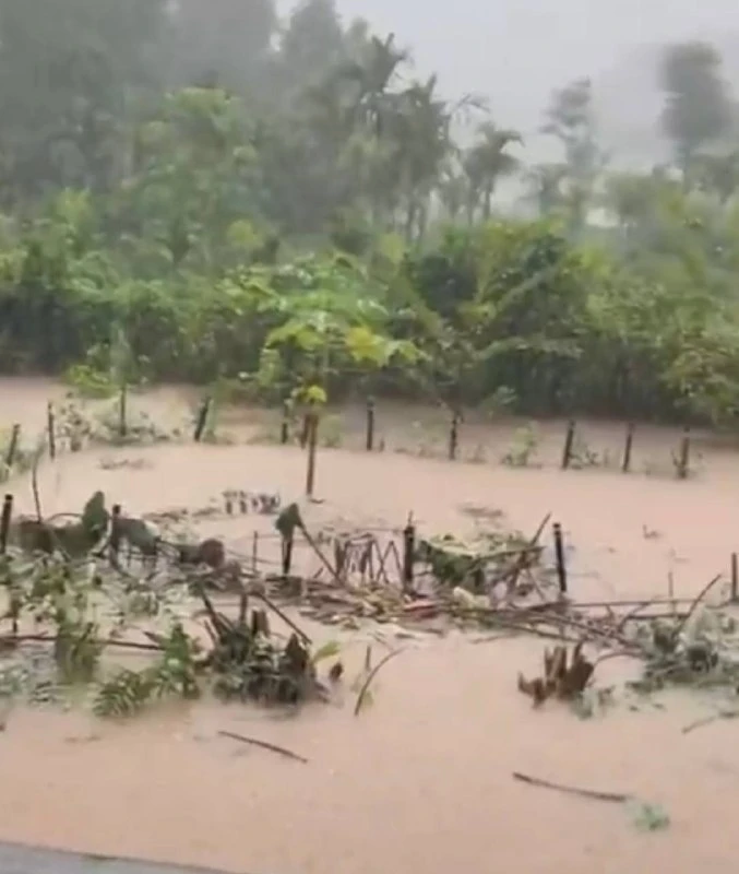 Heavy Rain Causes Waterlogging in Panighatta Near Siliguri