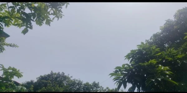 Heavy Rainfall Alert Issued for North Bengal Districts