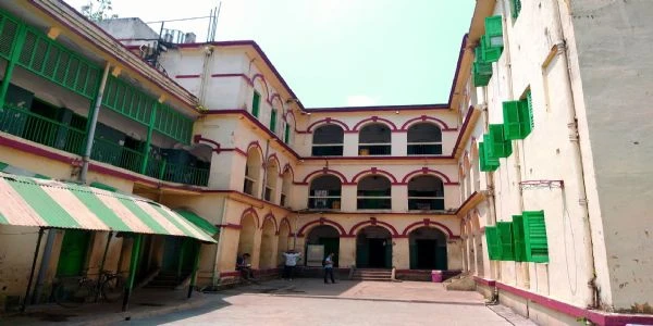 Class 1 Student Bitten By Snake In Kolkata School