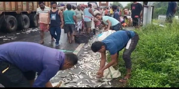 Pick-up Van Hits Truck in Jalpaiguri, Locals Loot Fish